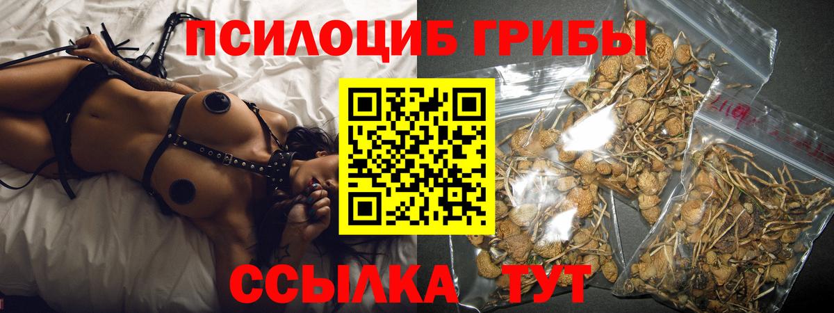 Псилоцибиновые грибы ЛСД Тайшет