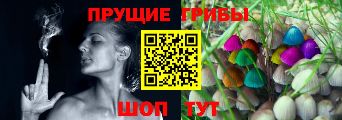 Тайшет  Галлюциногенные грибы мицелий  где найти   Вход с VPN 